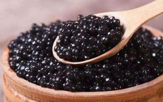 Trứng cá tầm – khám phá thế giới nước và lý do khiến trứng cá tầm đắt đỏ