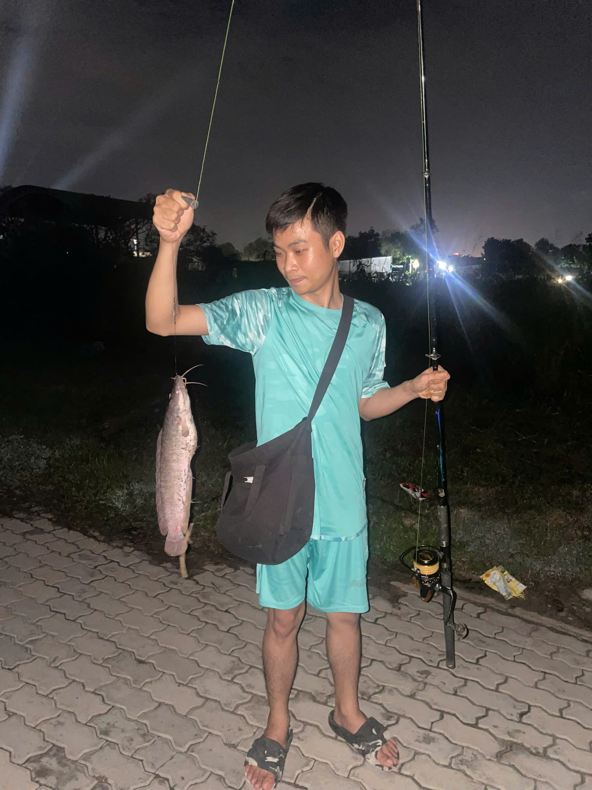 Cá Trê từ những Truyền Thuyết, Những Câu Chuyện Kinh Dị có 1 0 2 cho đến Món Ăn Dân Dã